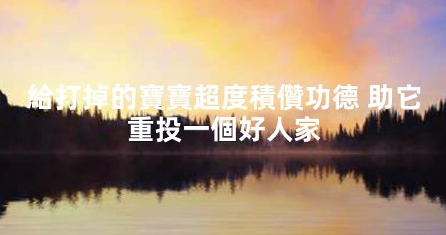 給打掉的寶寶超度積儹功德 助它重投一個好人家